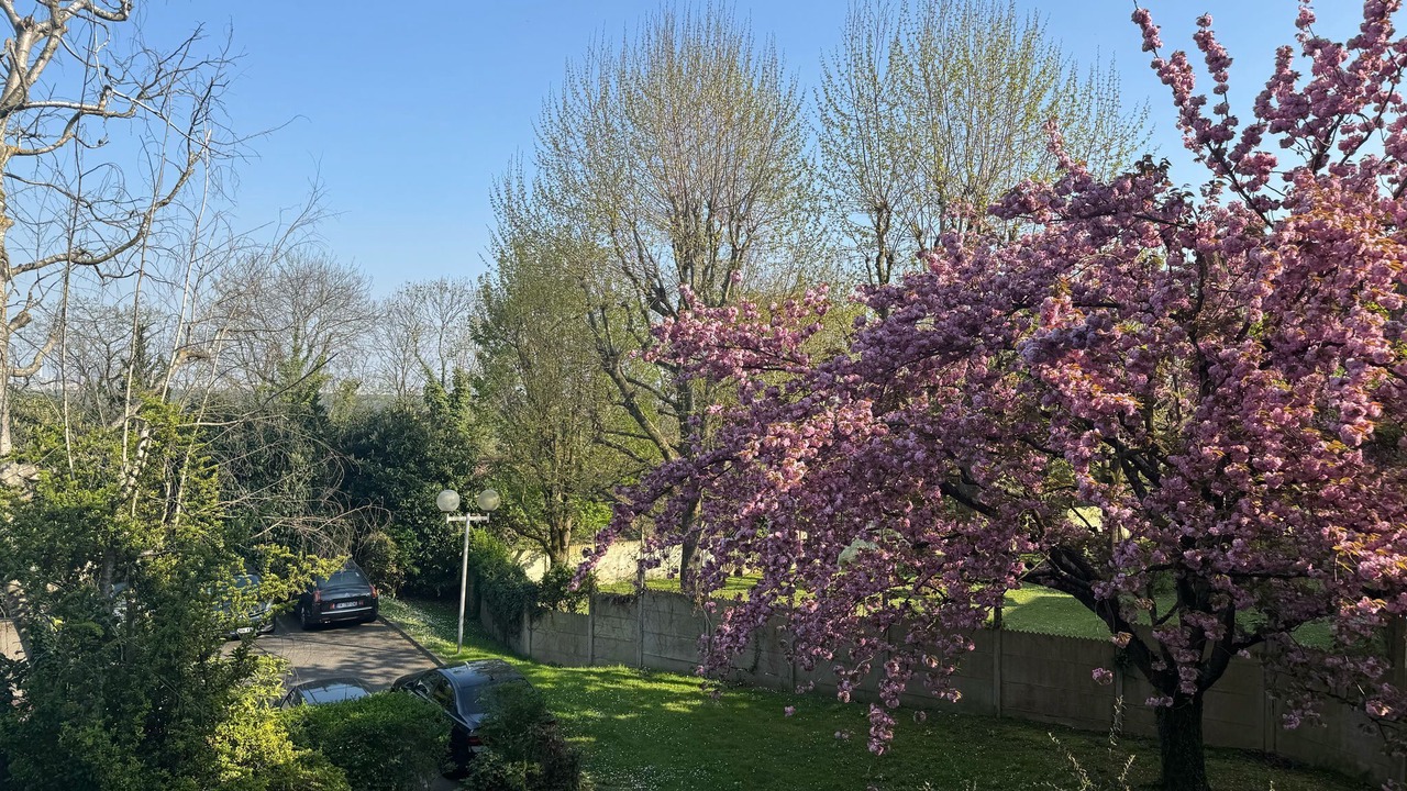 Photo of Outdoor in Saint-Cloud