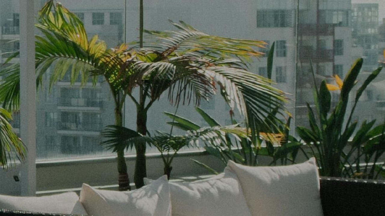 Photo of Outdoor in Sutton Place