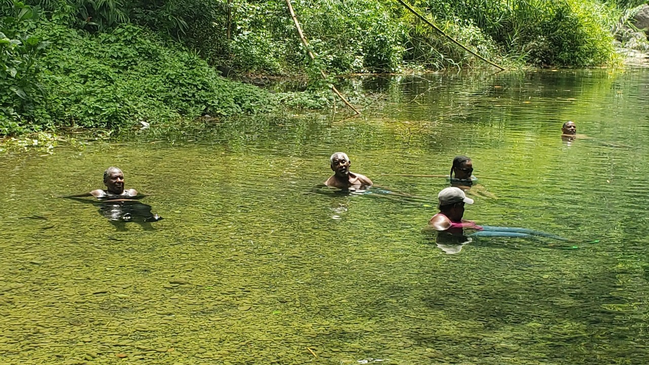 Photo of Others in Blue Mountains National Park