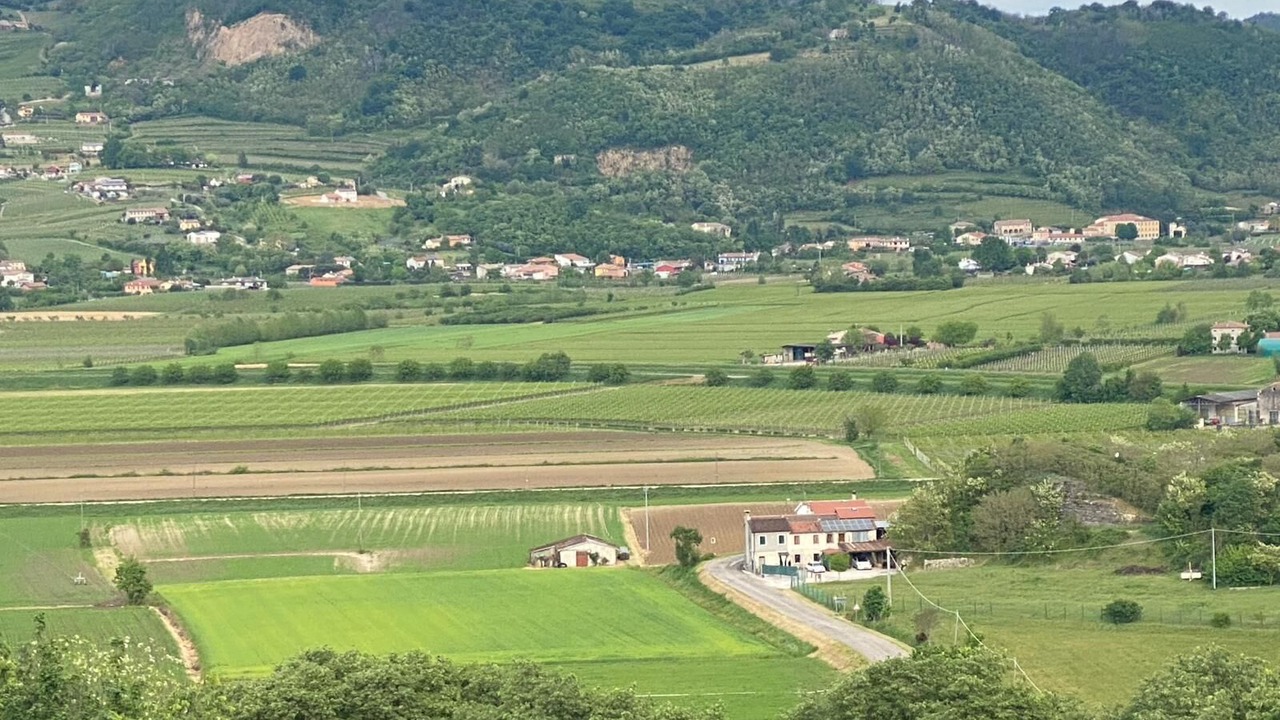 Photo of Outdoor in Albettone