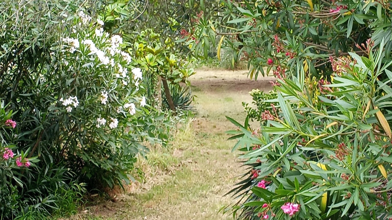 Photo of Outdoor in Albettone