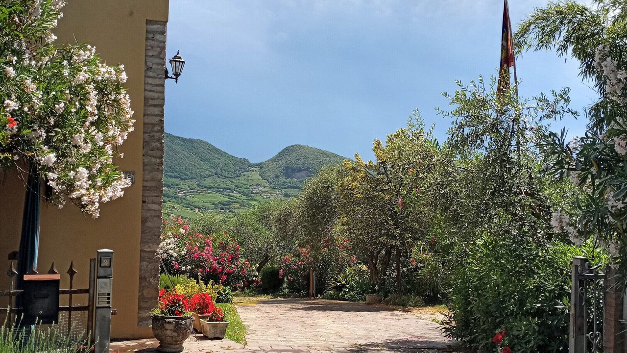 Photo of Outdoor in Albettone