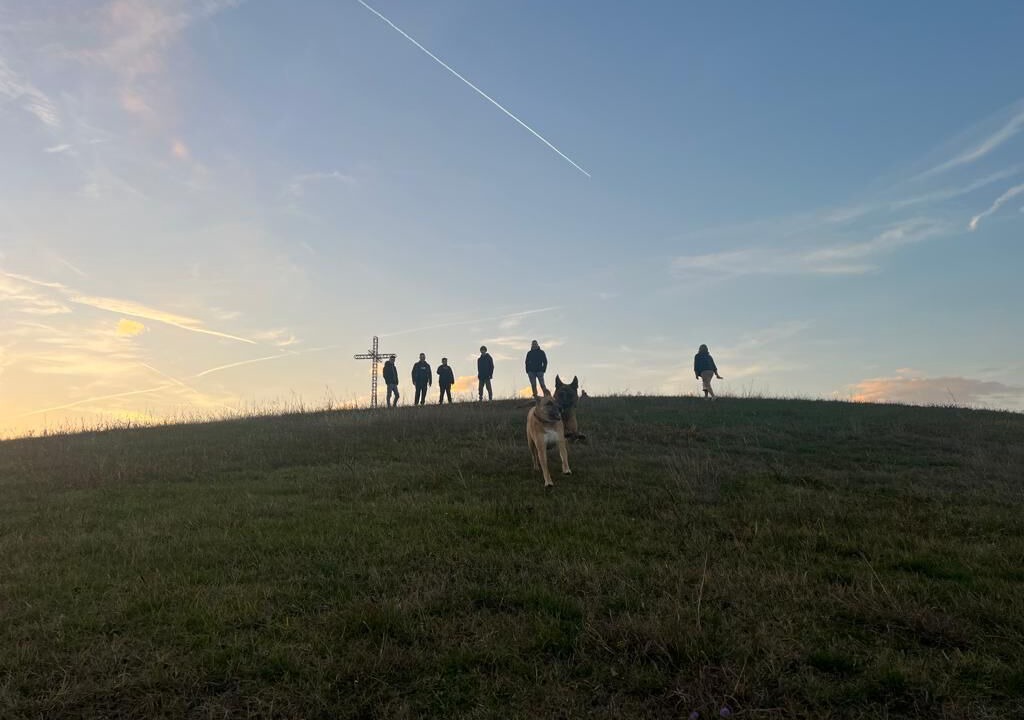 Photo of Others in Albettone