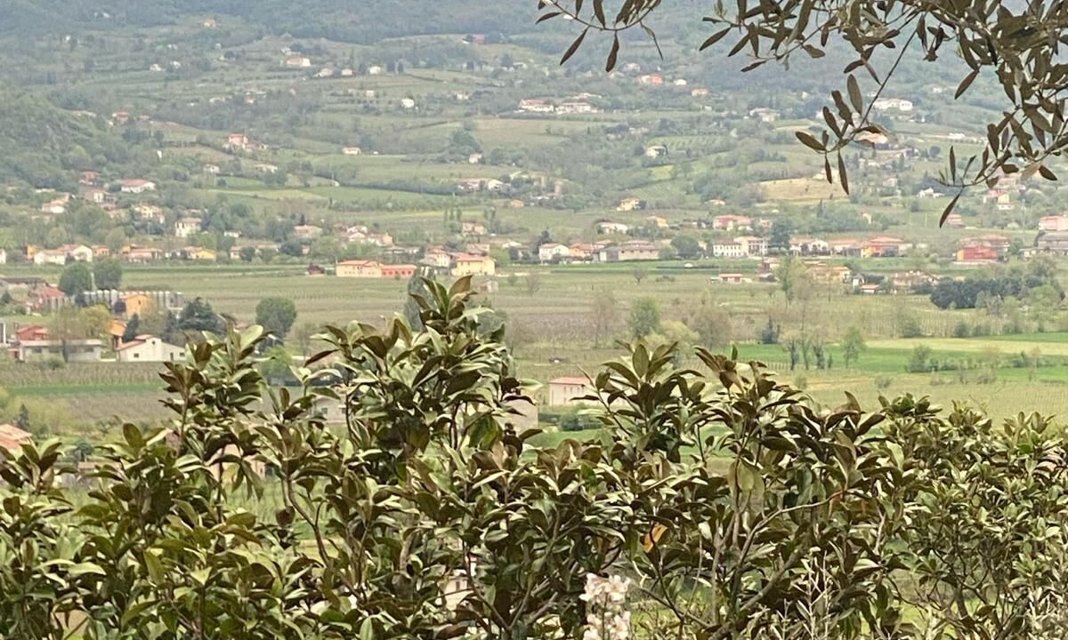 Photo of Others in Albettone