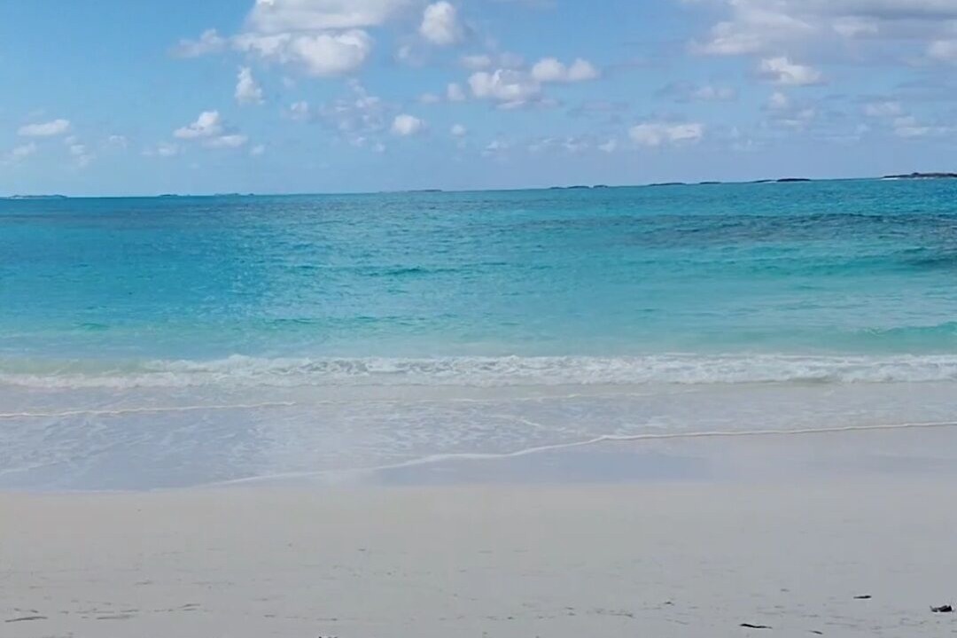 Photo of Others in Tar Bay