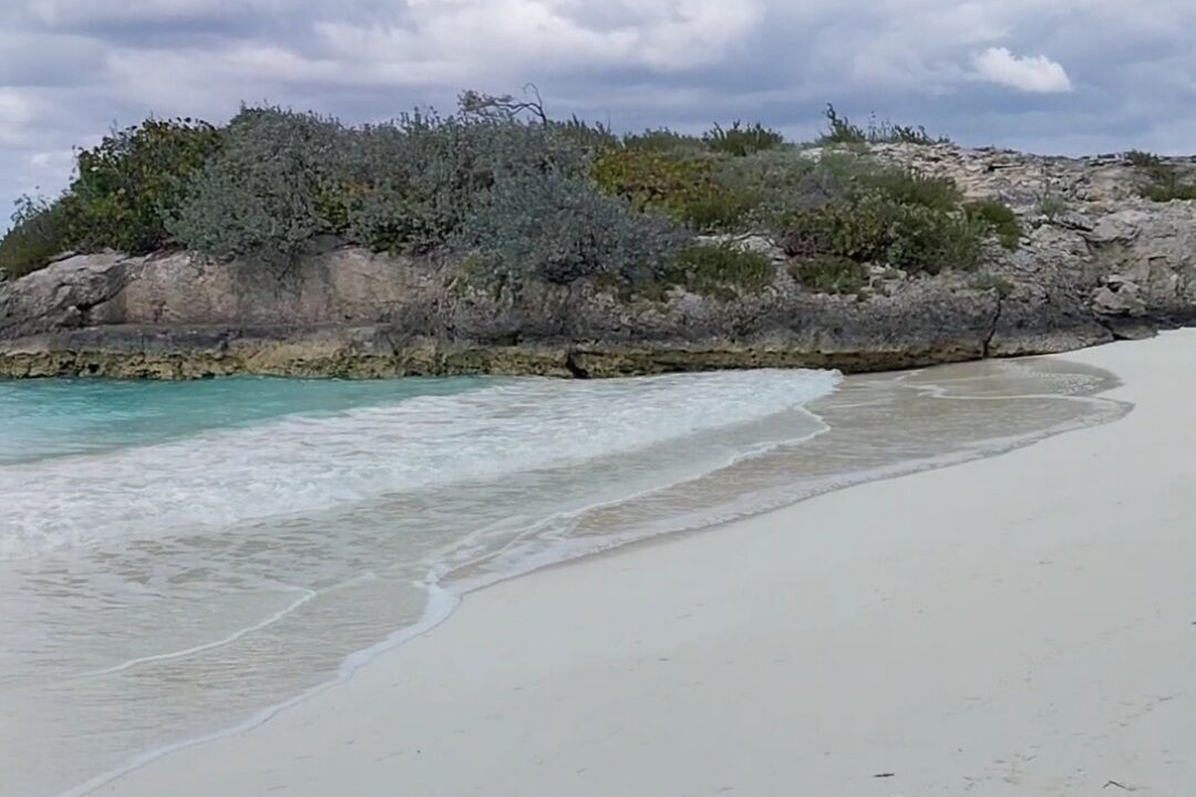 Photo of Others in Tar Bay