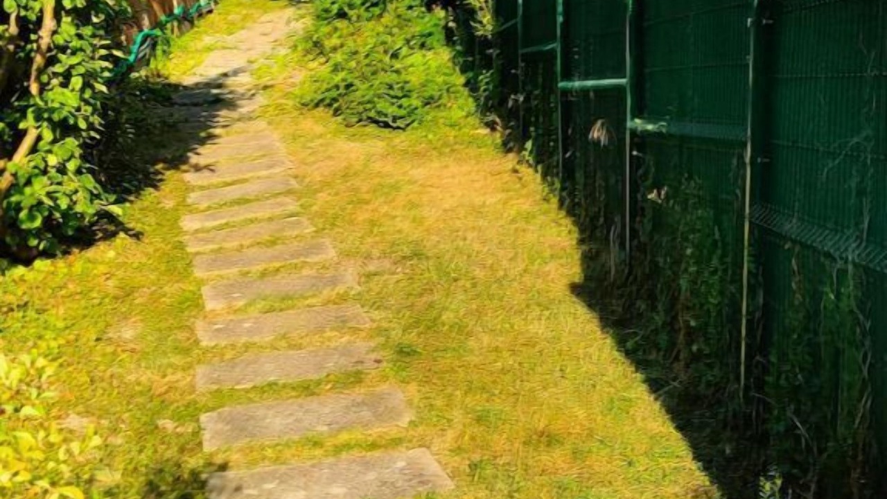 Photo of Outdoor in Cachan