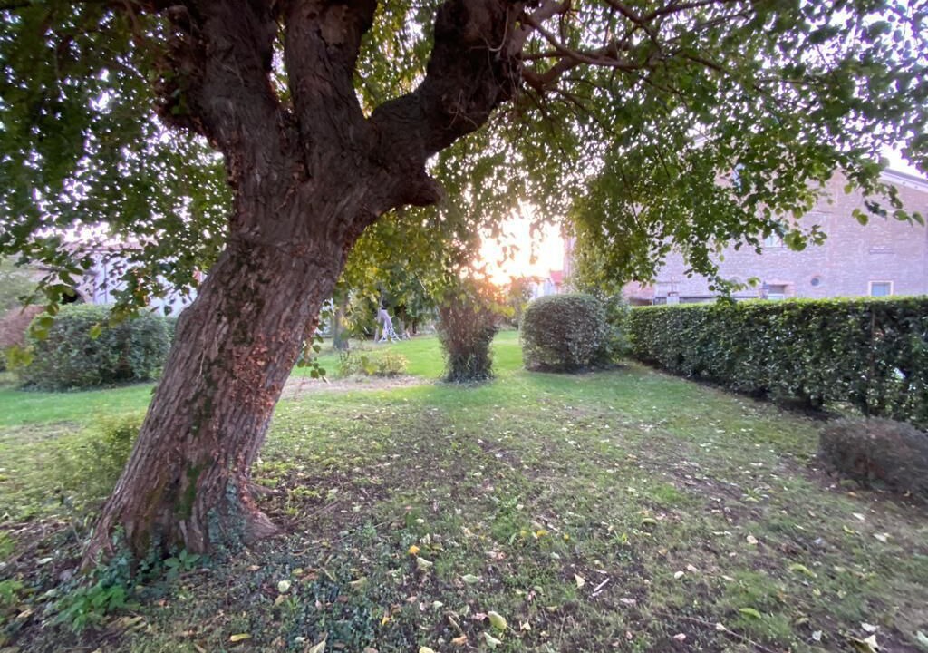 Photo of Outdoor in San Martino Buon Albergo
