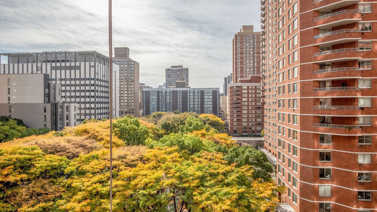 Photo of Outdoor in Kips Bay