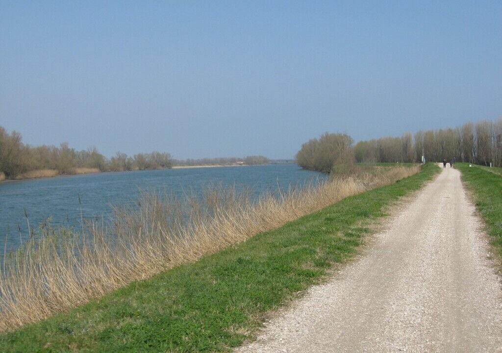 Photo of Others in Rosolina