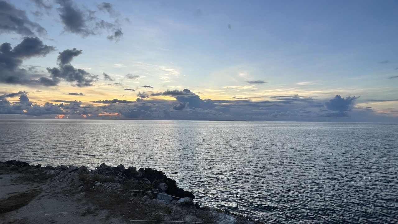 Photo of Others in Little Bay
