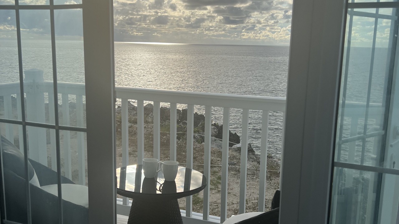 Photo of Others in Little Bay
