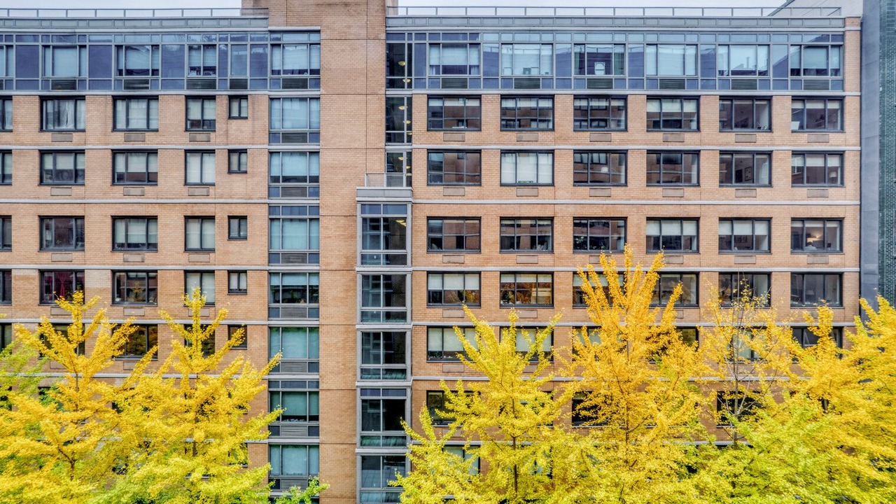 Photo of Outdoor in Chelsea
