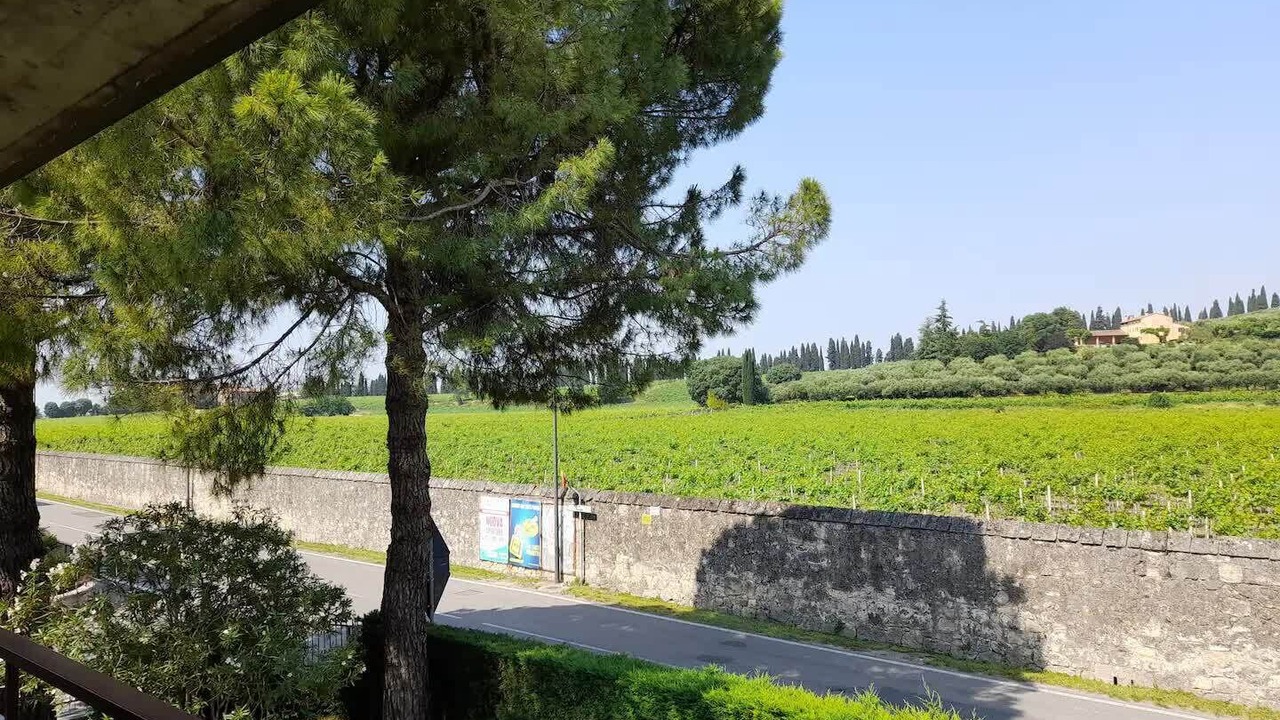 Photo of Others in San Martino Buon Albergo