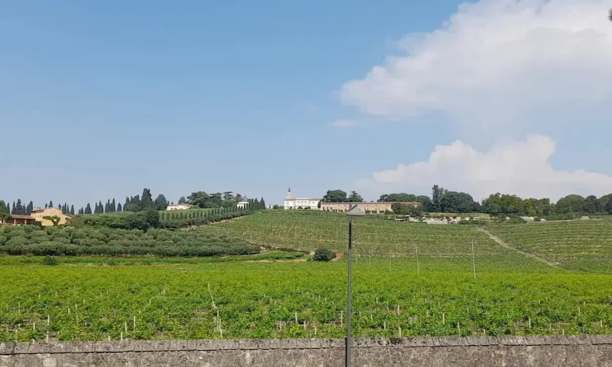 Photo of Outdoor in San Martino Buon Albergo