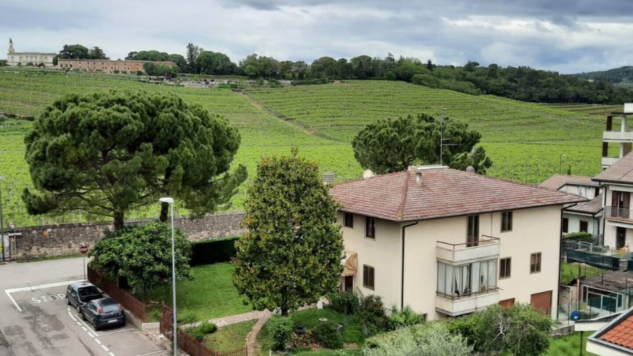 Photo of Outdoor in San Martino Buon Albergo