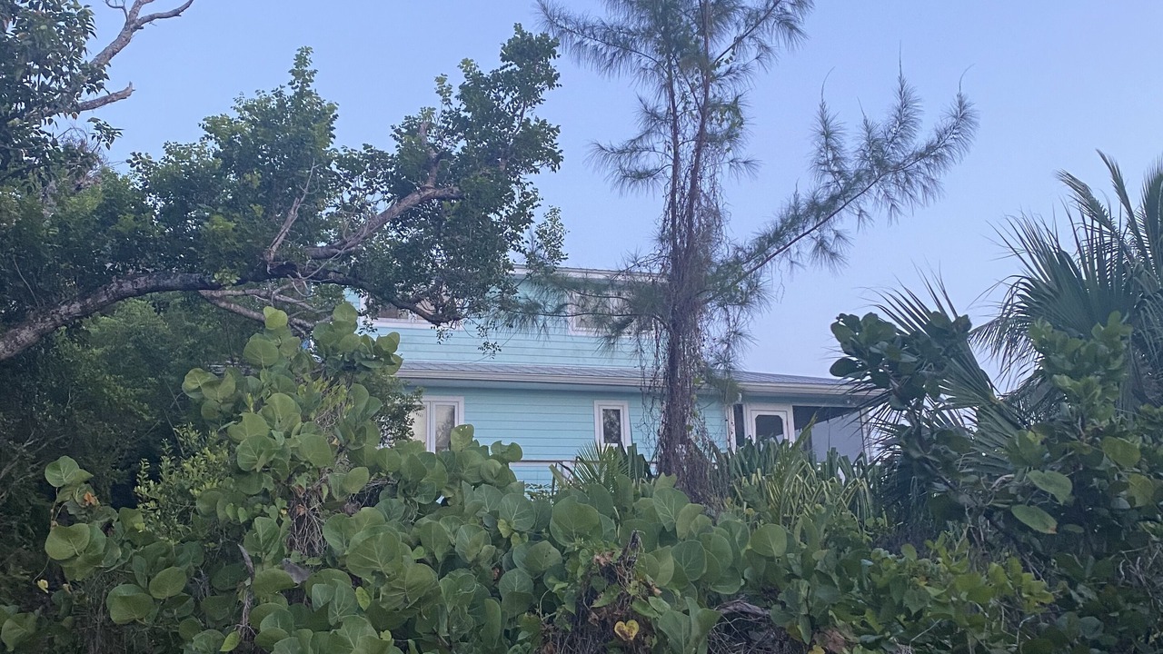 Photo of Others in Green Turtle Cay