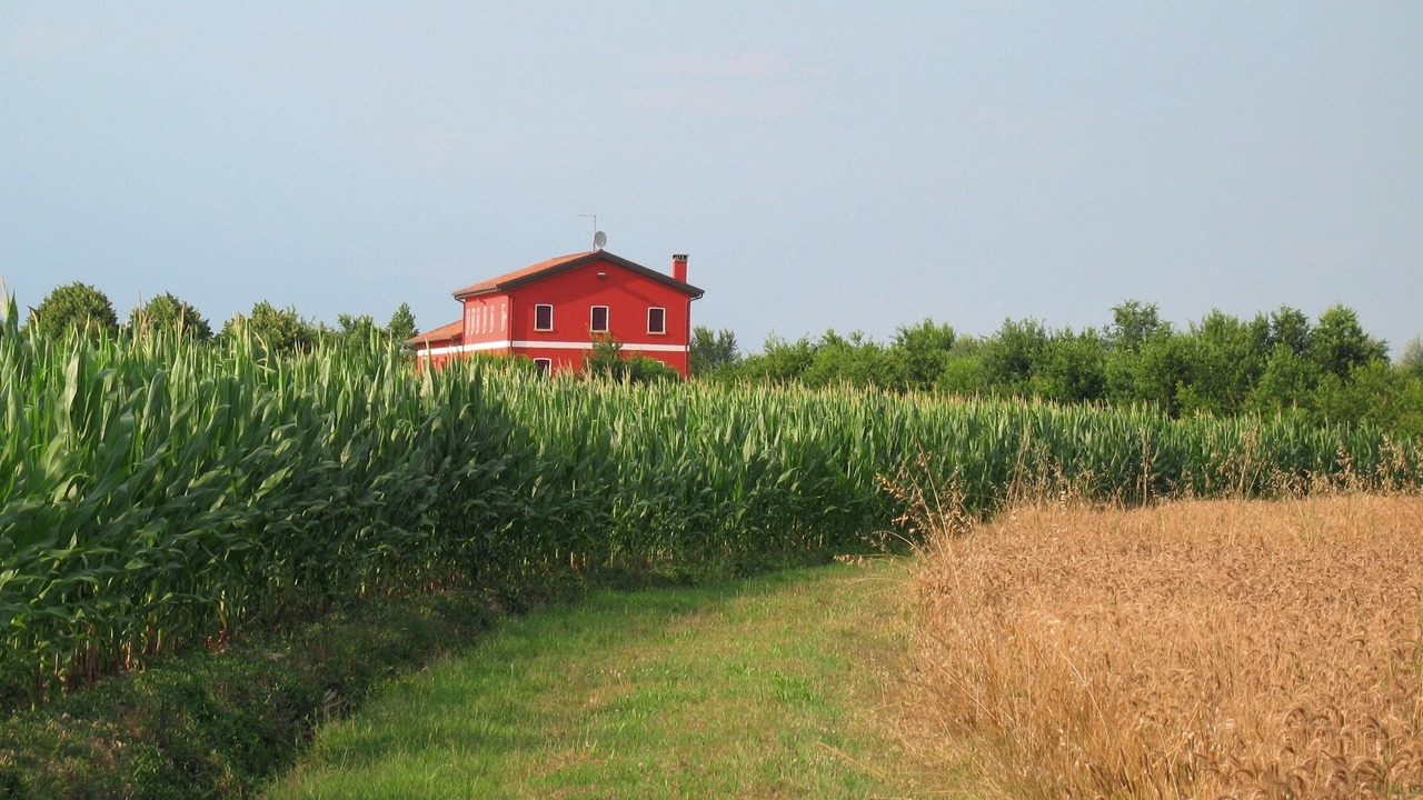 Photo of Outdoor in Marcon