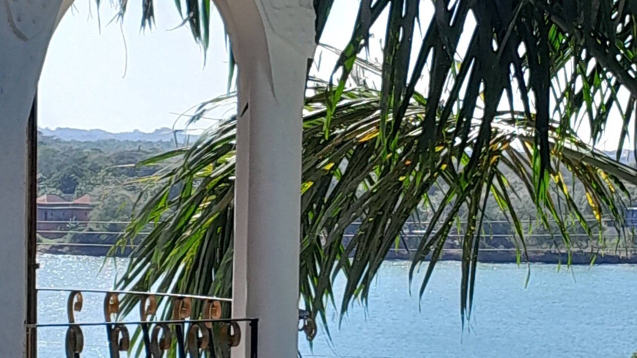Photo of Patio Balcony in Cousins Cove