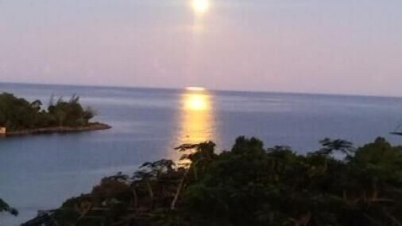 Photo of Others in Cousins Cove