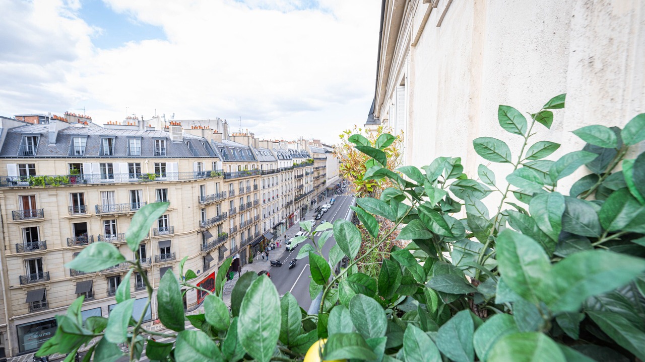 Photo of Others in 6th Arrondissement