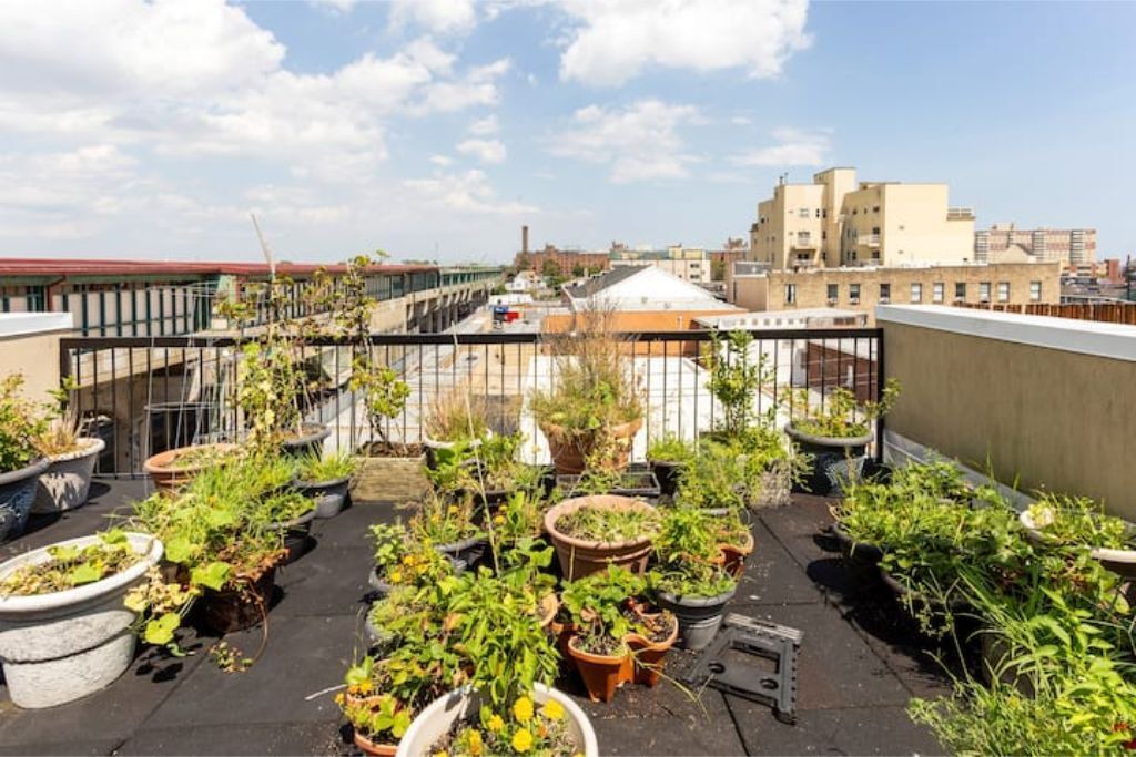 Photo of Outdoor in Queens