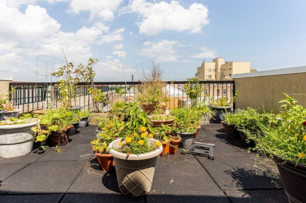 Photo of Patio Balcony in Queens