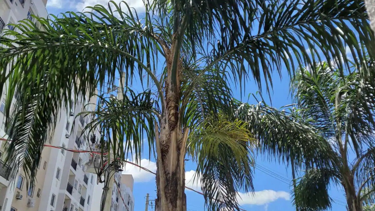 Photo of Outdoor in Anil