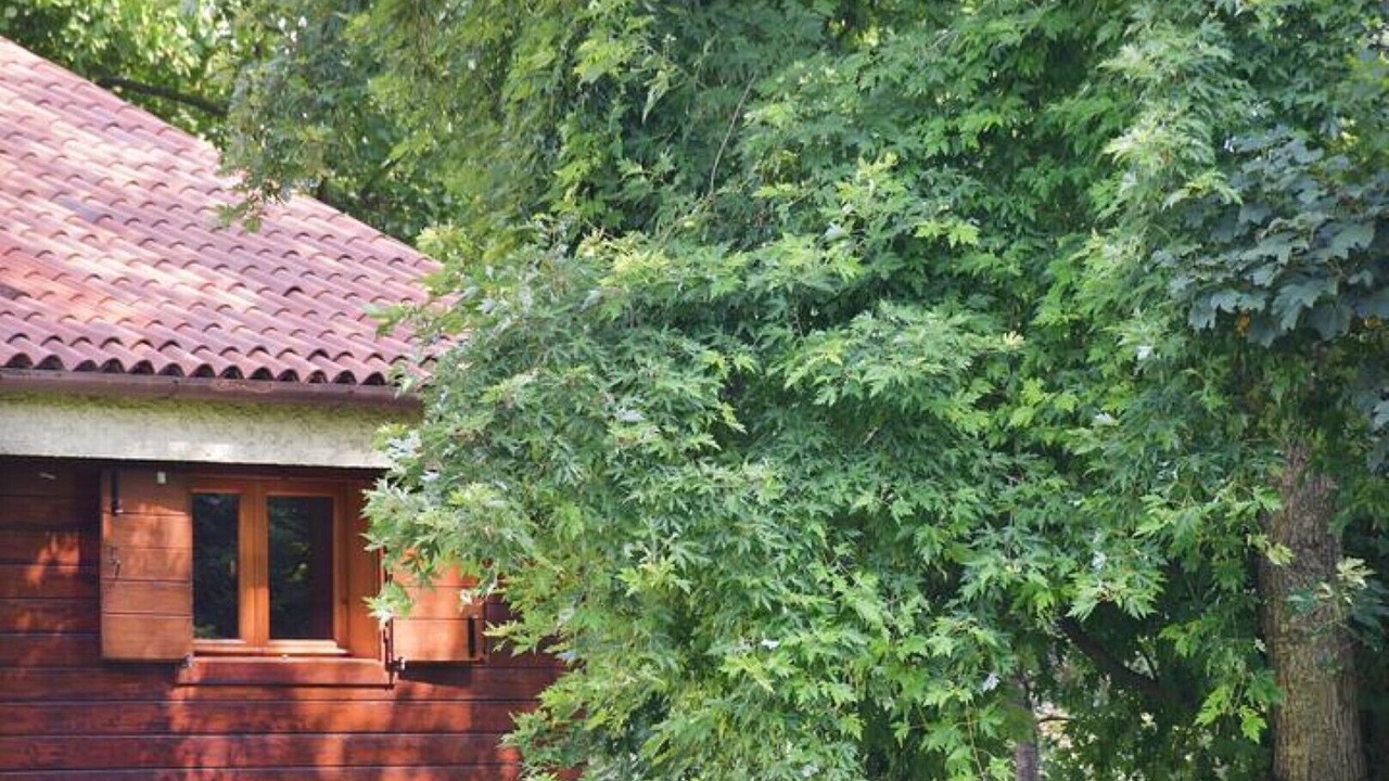 Photo of Outdoor in Treviso