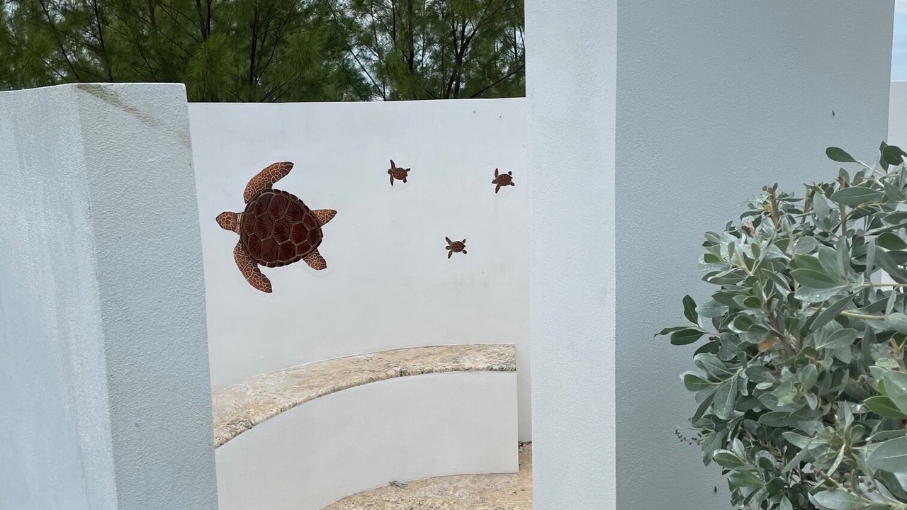 Photo of Outdoor in Treasure Cay