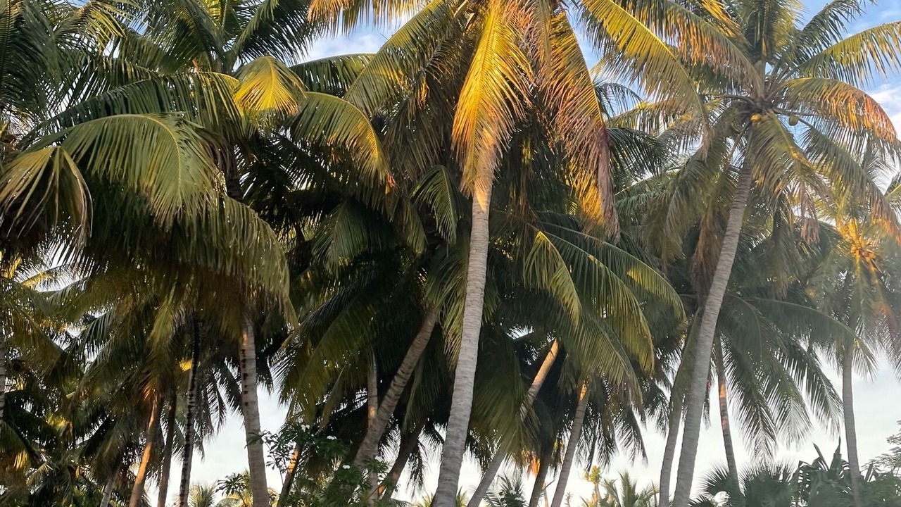 Photo of Outdoor in Spanish Wells