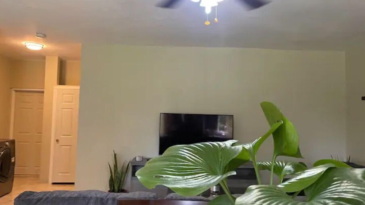 Photo of Livingroom in Negril