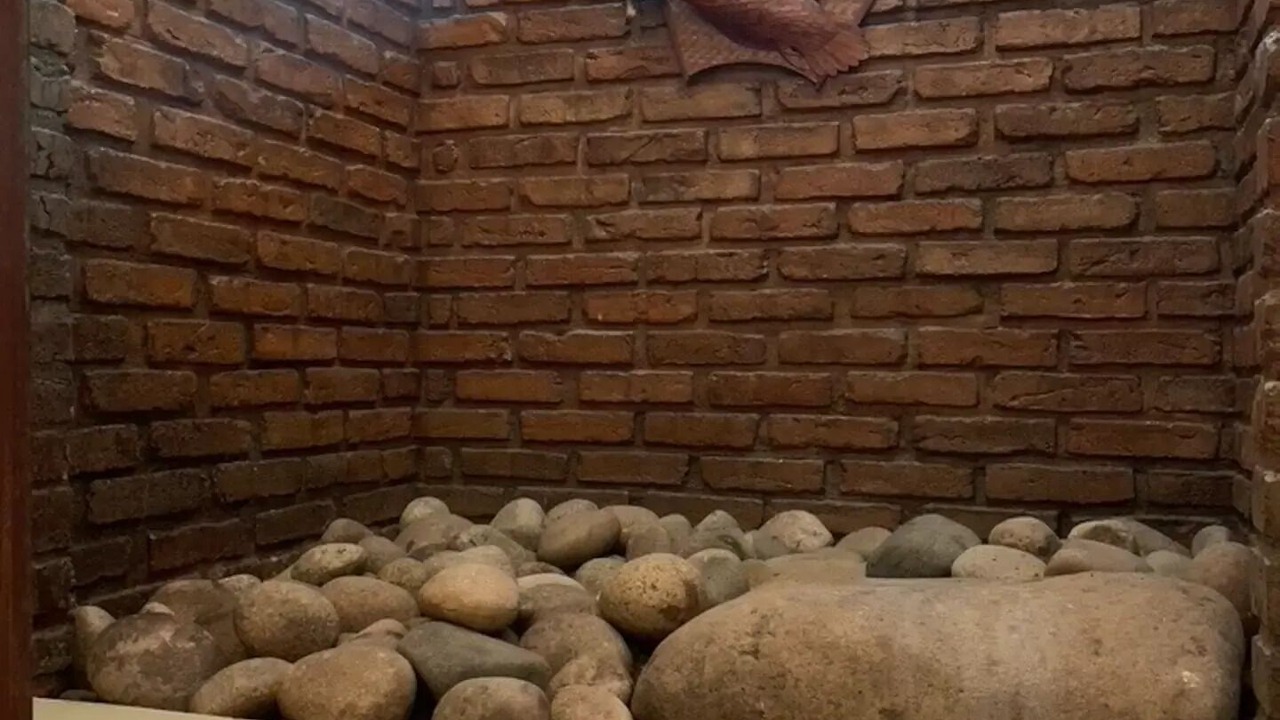 Photo of Others in Itaipava