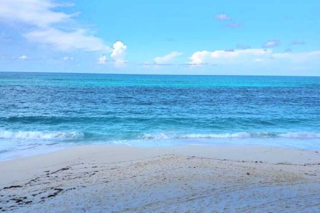 Photo of Others in Paradise Island