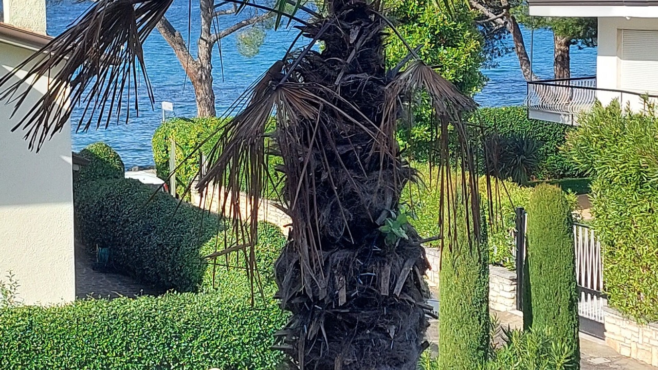 Photo of Outdoor in Montioni