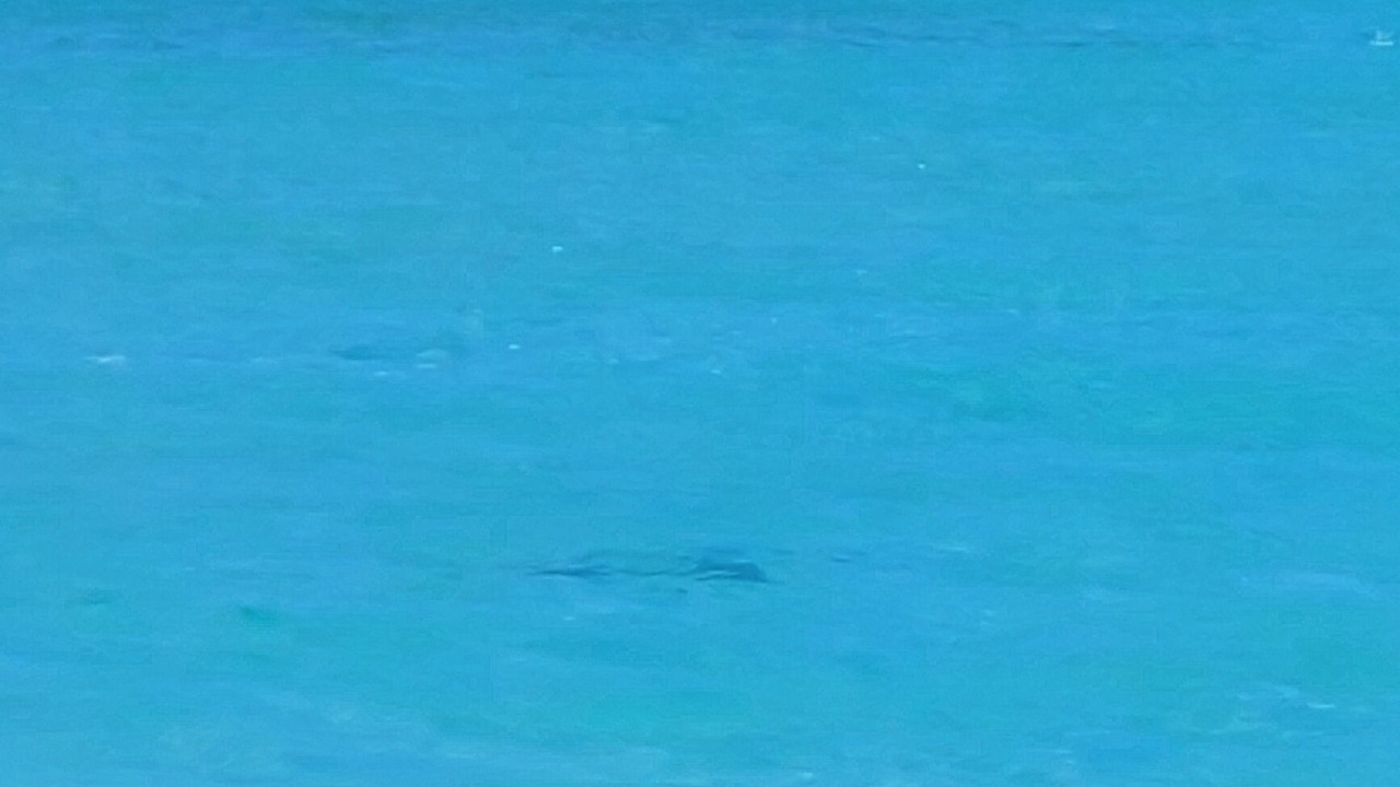 Photo of Others in Treasure Cay