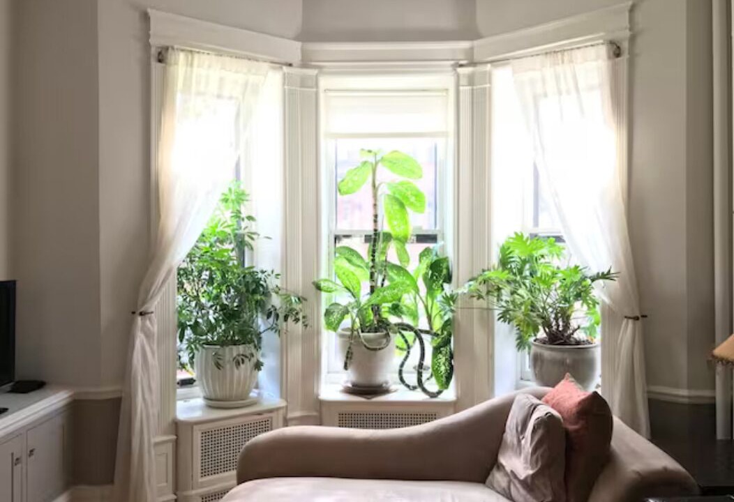 Photo of Livingroom in Park Slope