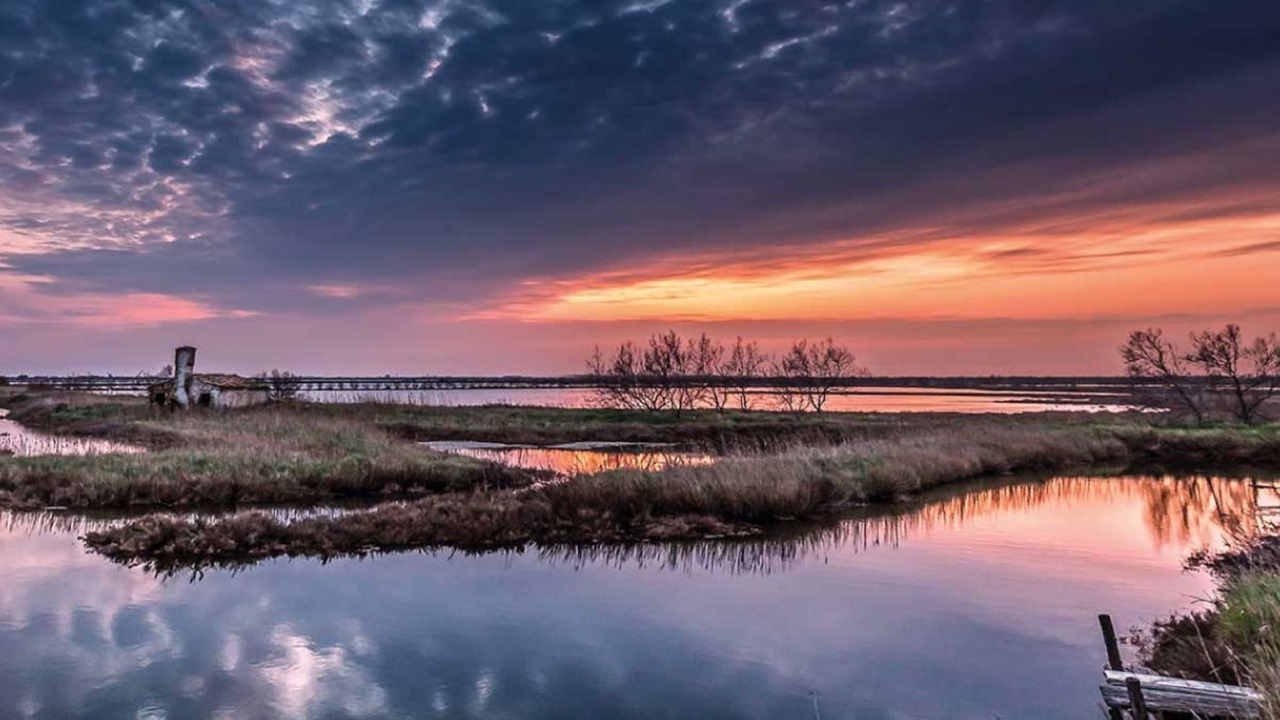 Photo of Outdoor in Rosolina Mare