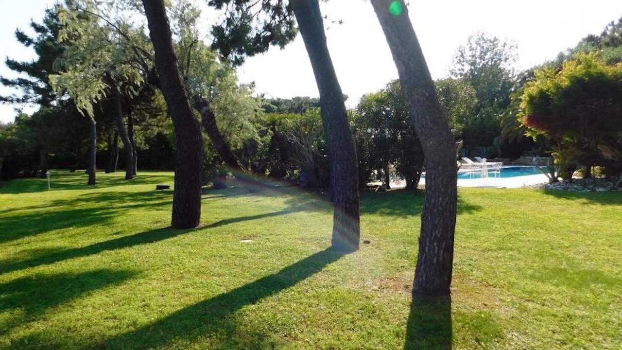 Photo of Outdoor in Isola Albarella