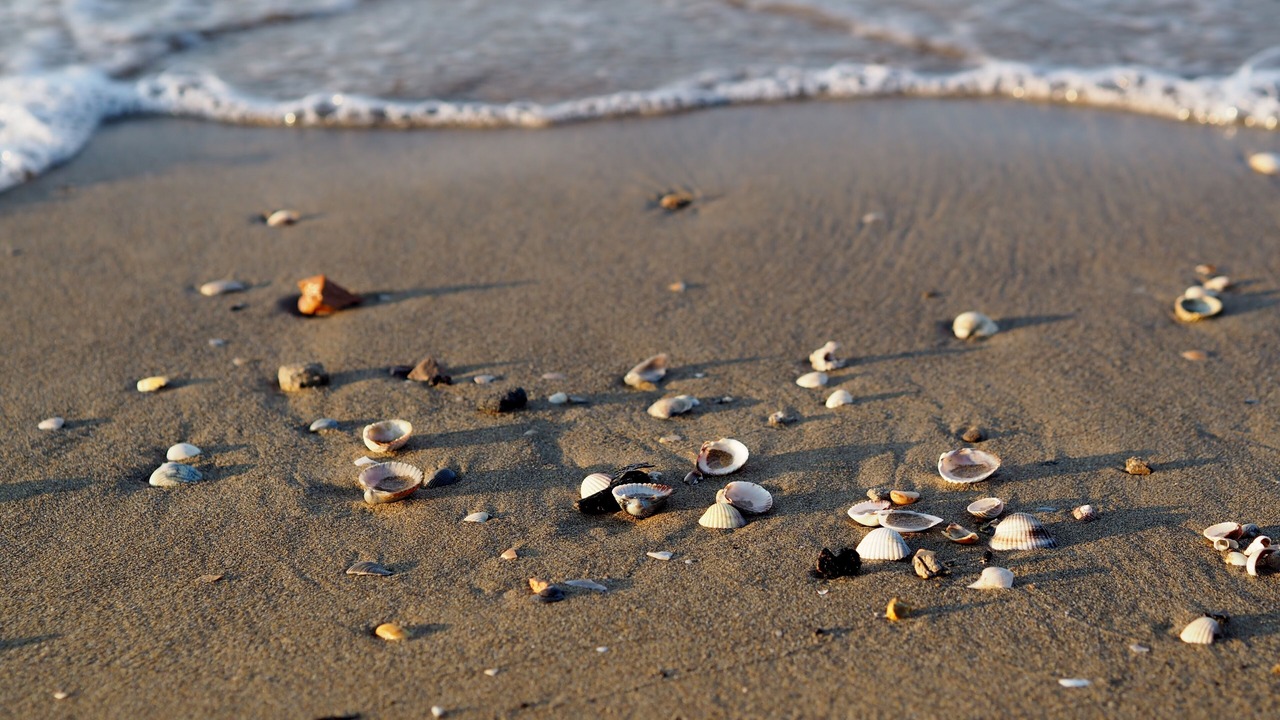 Photo of Others in Bibione Lido del Sole