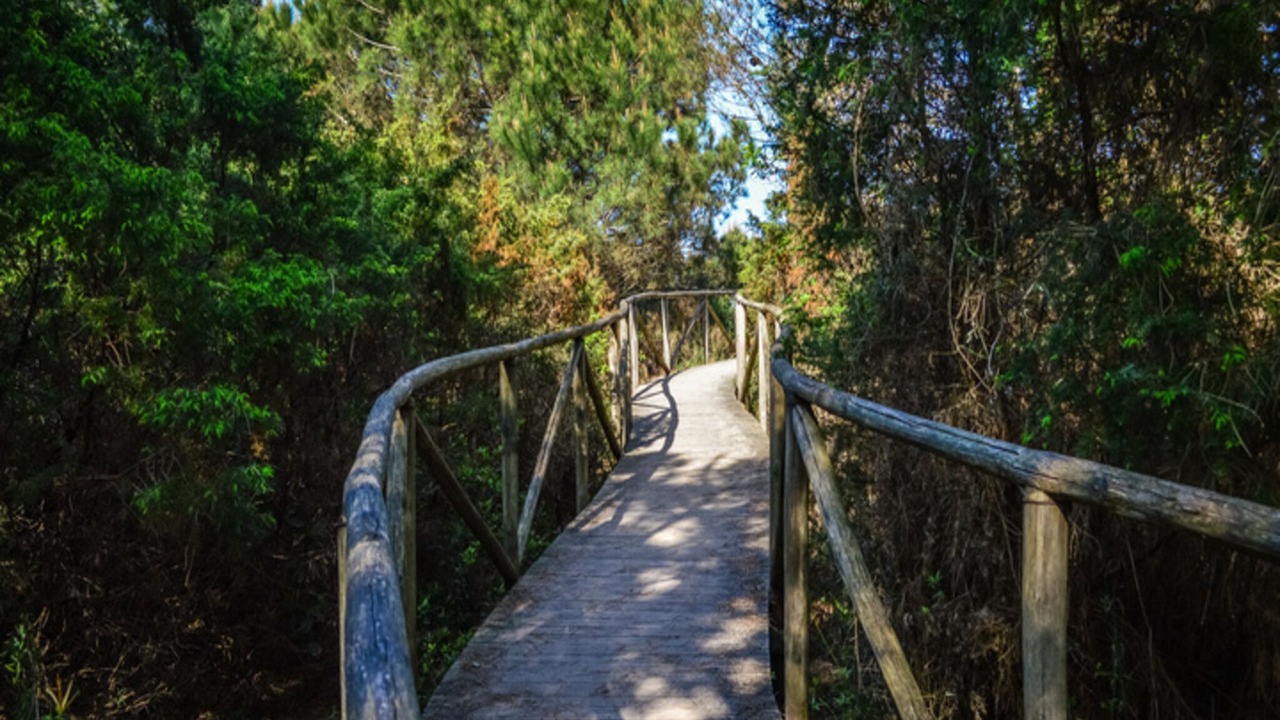 Photo of Others in Rosapineta