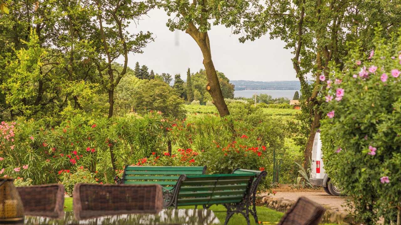Photo of Outdoor in Montioni