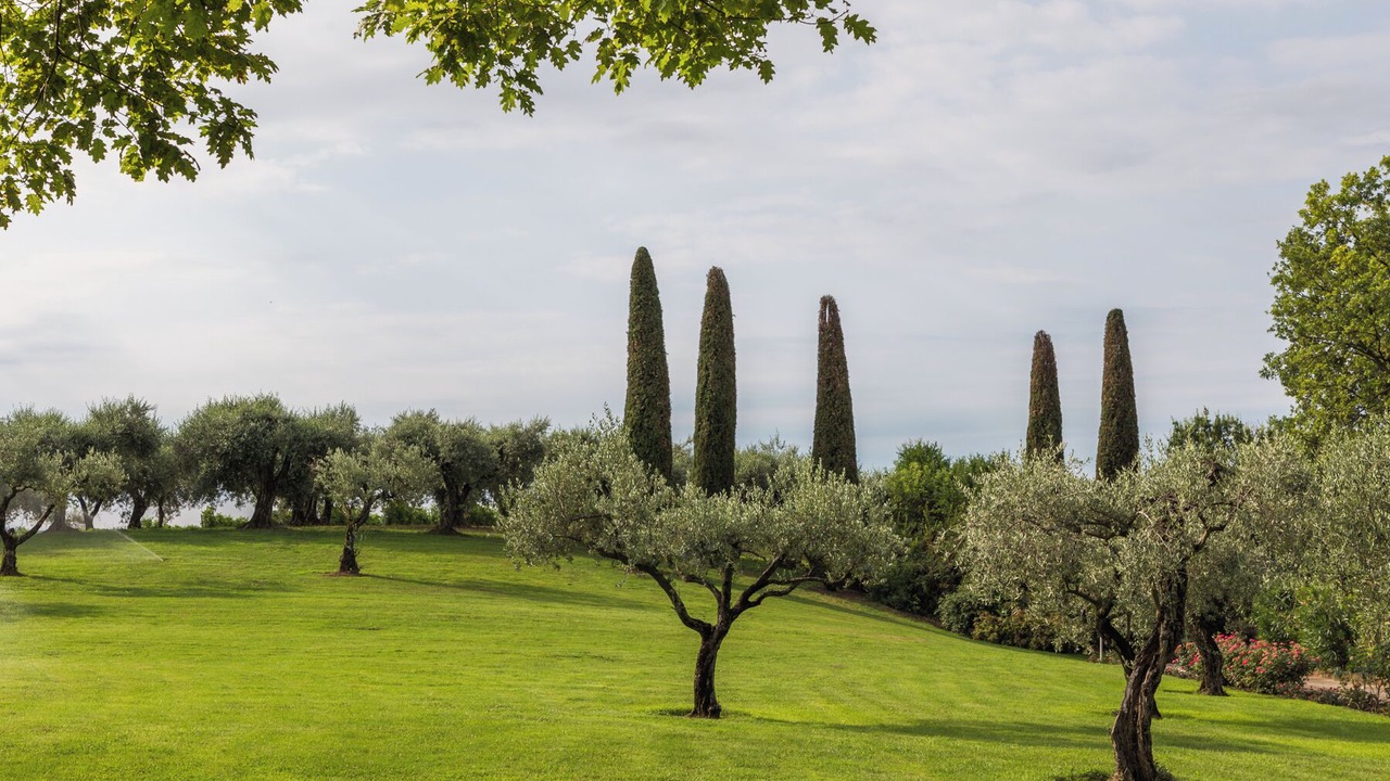 Photo of Outdoor in Montioni