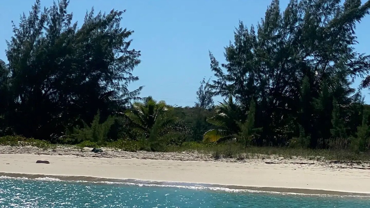 Photo of Others in Rolleville