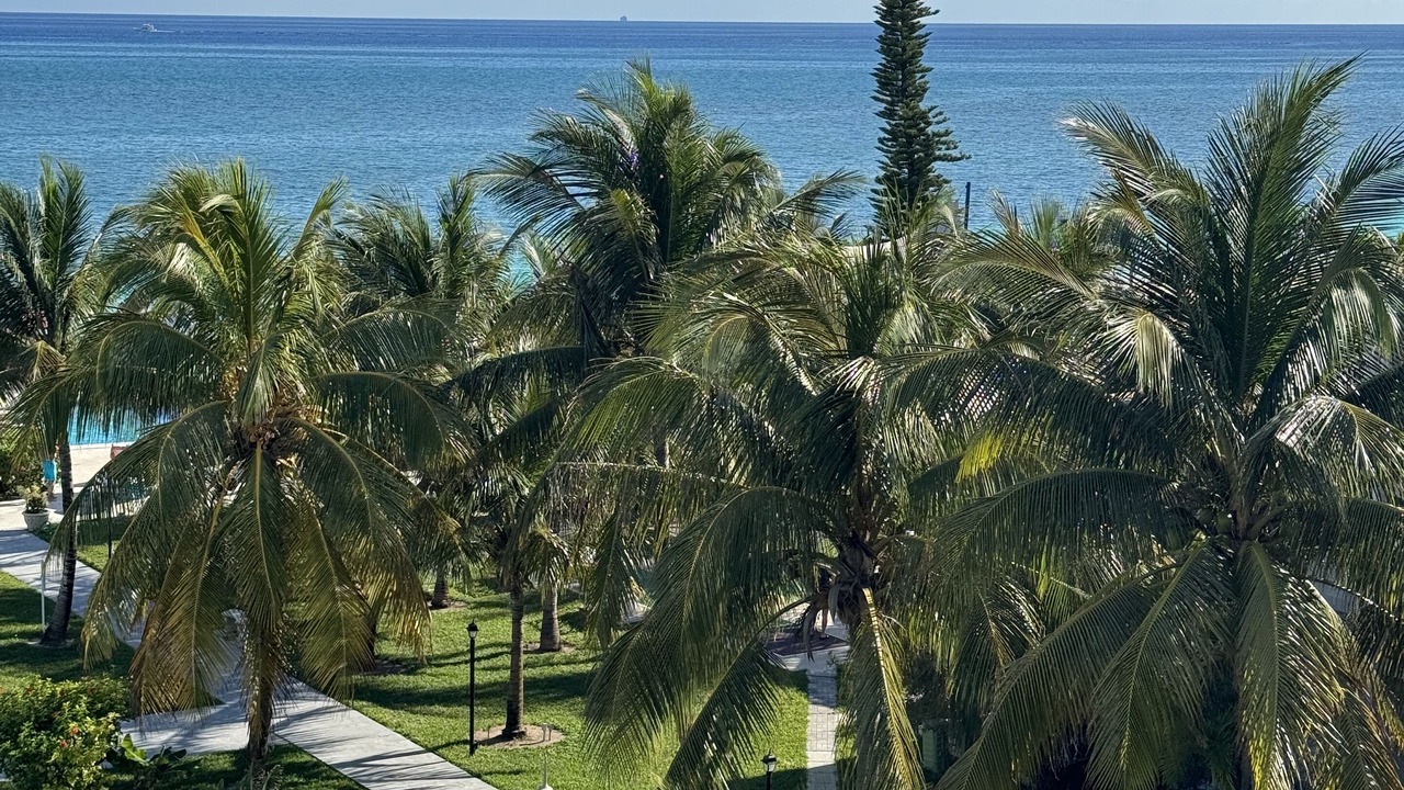 Photo of Outdoor in Freeport