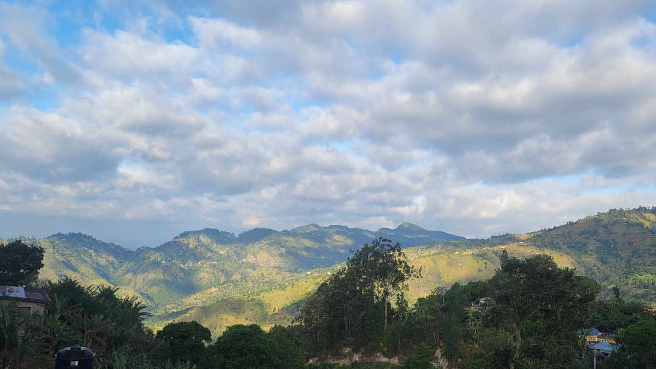 Photo of Outdoor in Gordon Town