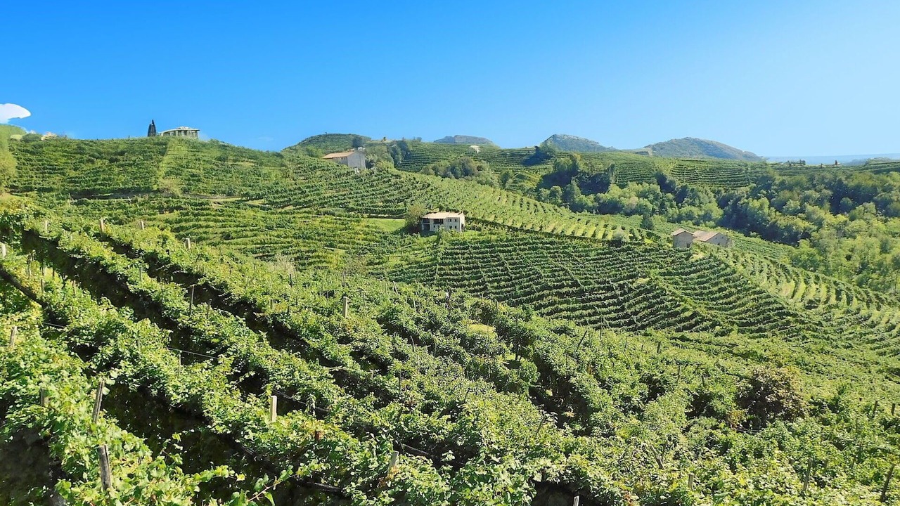 Photo of Outdoor in Venegazzu