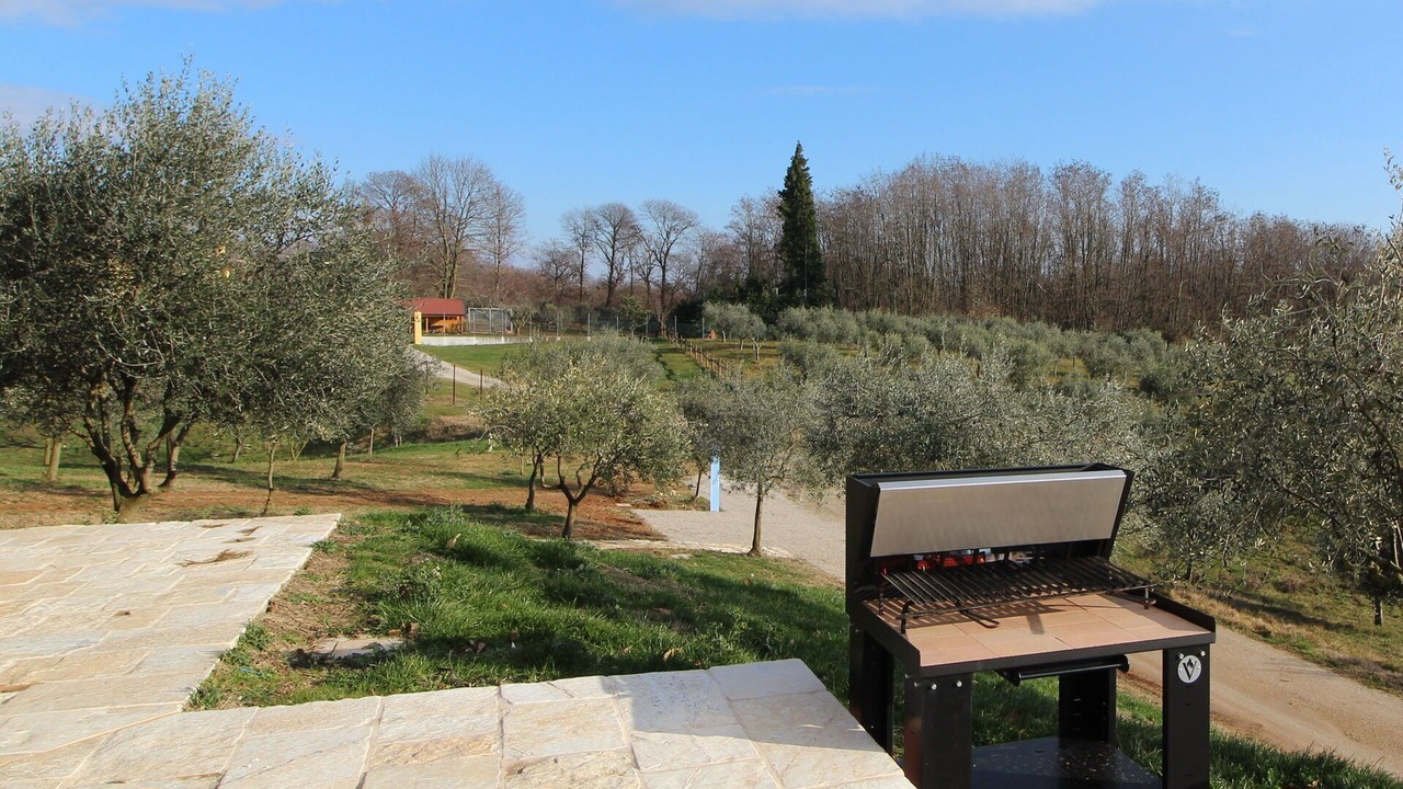 Photo of Outdoor in Venegazzu