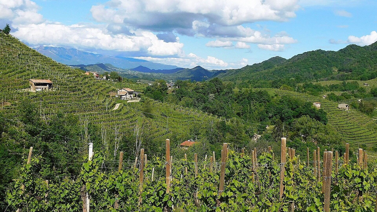 Photo of Outdoor in Venegazzu