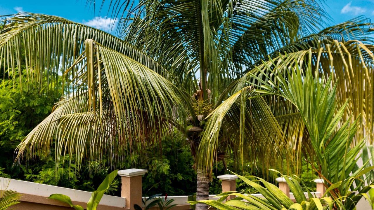 Photo of Outdoor in Whitehouse